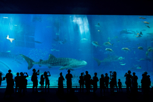 水族館