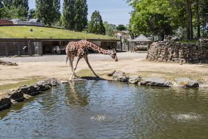 動物園